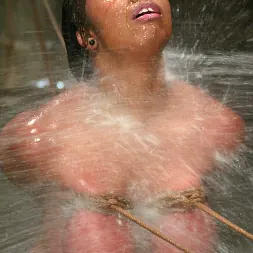 Candace Von in 'Kink' Candace Von (Thumbnail 16)