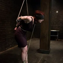 カルメン・スターク に 'Kink' カルメン・スターク (サムネイル 13)