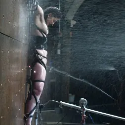 Caroline Pierce in 'Kink' Caroline Pierce (Thumbnail 8)