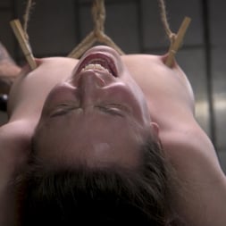 Casey Calvert in 'Kink' Bondage Legend Casey Calvert Tied Hard and Fucked Harder by Huge Cock (Thumbnail 3)