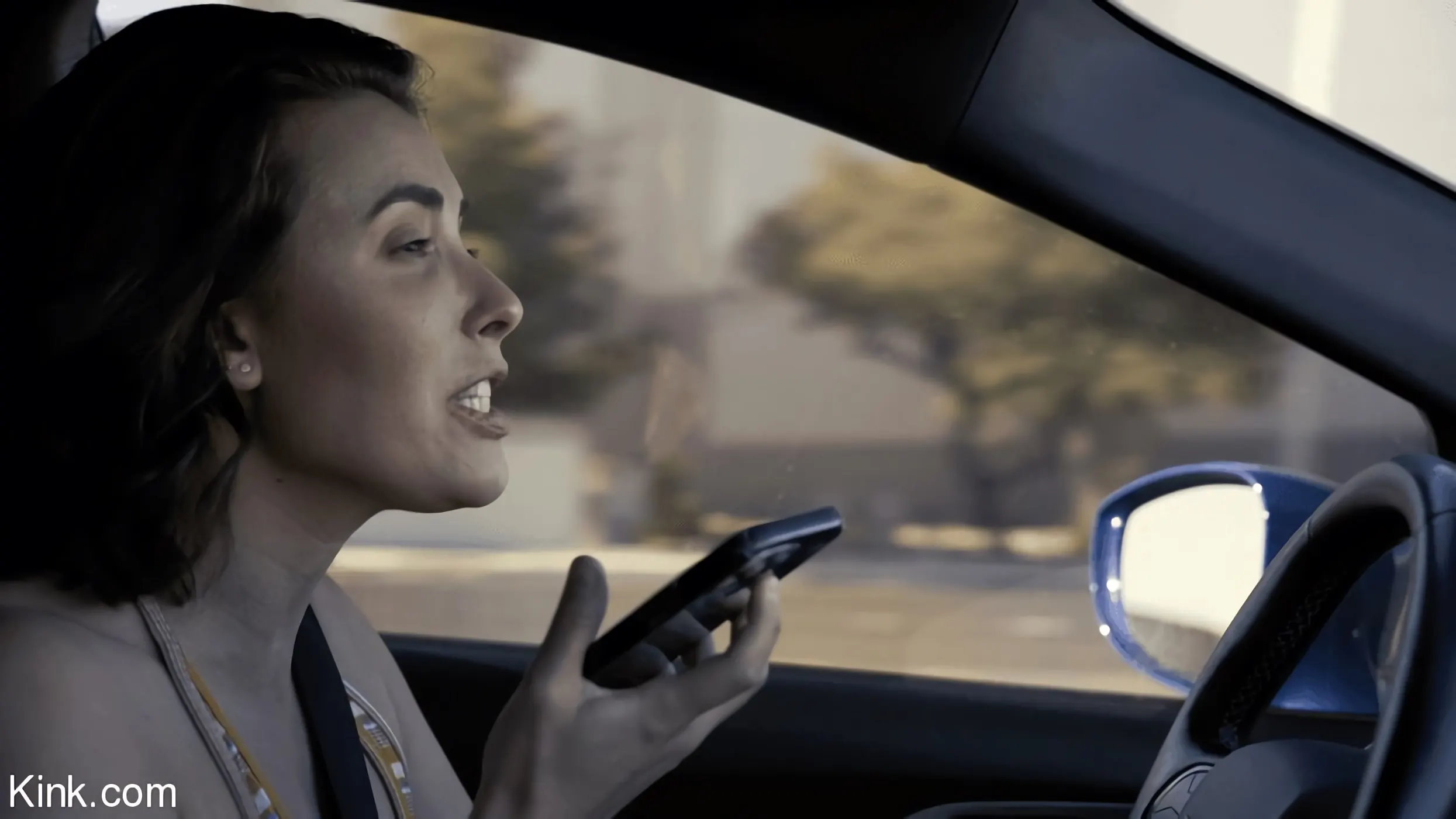 Kink 'Diario de un loco, temporada 2, episodio 1: Malas decisiones' protagonizando Casey Calvert (foto 6)