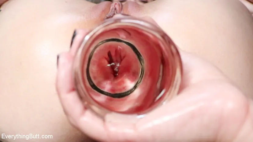 Kink 'El juguete anal de Jenna' protagonizando Casey Calvert (foto 21)