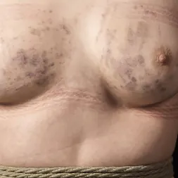 Casey Calvert en 'Kink' Escuela de sumisión: Casey Calvert, día cuatro (Miniatura 19)