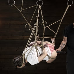 Casey Calvert に 'Kink' 提出学校:ケーシーカルバート、4日目 (サムネイル 11)