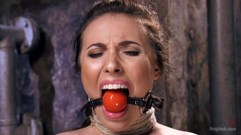 Casey Calvert en 'Duro como una roca'