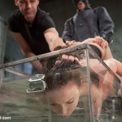 Casey Calvert en 'Kink' Entrenamiento de la niña bonita, día tres (Miniatura 11)