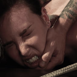 Casey Calvert に 'Kink' 誰があなたを送ったのか (サムネイル 20)