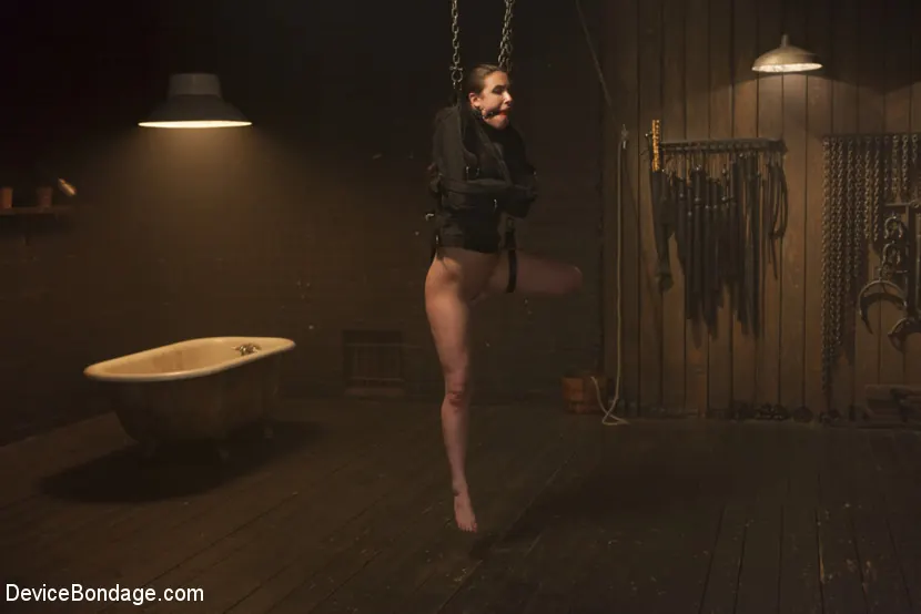 Kink 'Cautivo frágil Un dispositivo de esclavitud' protagonizando Casey Calvert (foto 3)