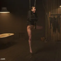 Casey Calvert en 'Kink' Cautivo frágil Un dispositivo de esclavitud (Miniatura 3)