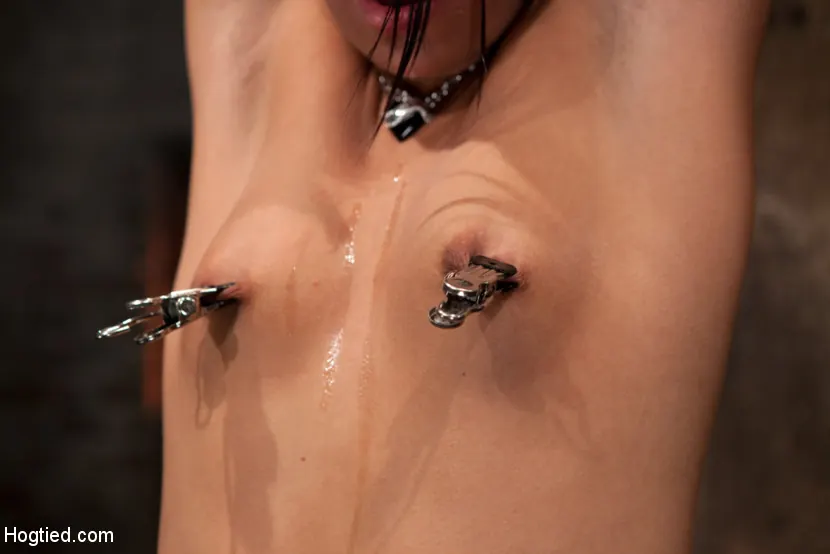 Cassandra Nix en 'Mujer de 19 años con piernas largas y sexys atada, indefensa e incómoda. ¡La torturan con sus pezones, la azotan y la obligan a correrse!' from 'Kink' (foto 14) Kink 'Mujer de 19 años con piernas largas y sexys atada, indefensa e incómoda. ¡La torturan con sus pezones, la azotan y la obligan a correrse!' protagonizando Cassandra Nix (foto 14)