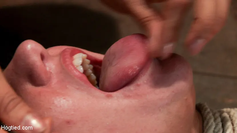 Kink '- Back For More - Live Bondage Show Part 1' starring Cassandra Nix (Photo 17)