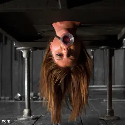 Cassandra Nix in 'Kink' No Holds - Cassandra Nix (Thumbnail 6)