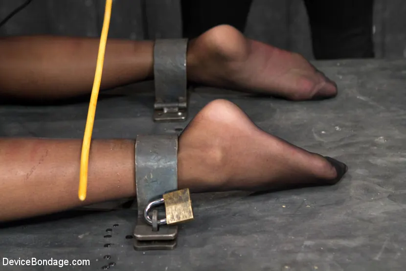 Kink 'Sin restricciones - Cassandra Nix' protagonizando Cassandra Nix (foto 23)