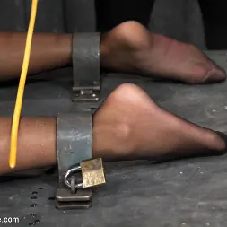 Cassandra Nix in 'Kink' No Holds - Cassandra Nix (Thumbnail 23)