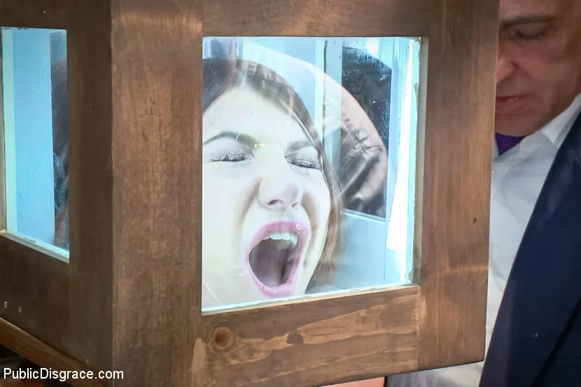 Kink 'Zorra dolorida se entrega a una follada anal en público' protagonizando Cassandra Nix (foto 12)