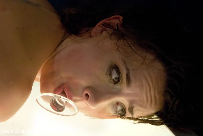 Kink '空港セキュリティ' 主演 Chanel Preston (写真 6)