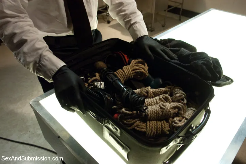 Kink '空港セキュリティ' 主演 Chanel Preston (写真 19)