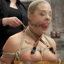 Chanel Preston in 'Kink' Chanel Preston (Thumbnail 11)