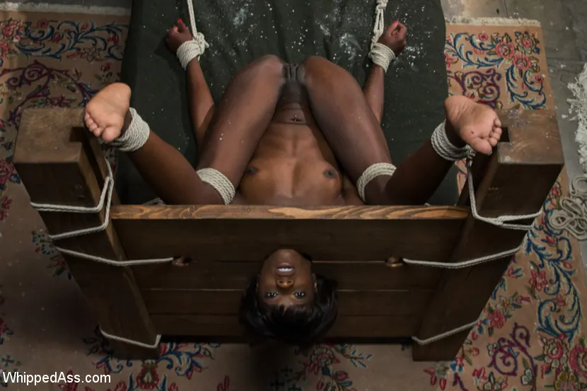 Kink 'Inmundicia y pecado' protagonizando Chanel Preston (foto 4)