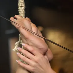 Chanel Preston en 'Kink' Propiedad de Chanel Preston (Miniatura 12)