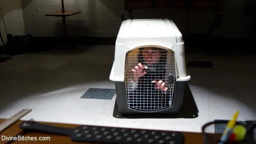 Kink 'ESCORIA' protagonizando Chanel Preston (foto 18)