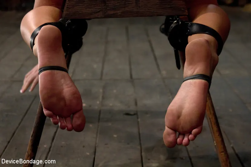 Kink '縛られて乗る準備ができました。' 主演 Charlie Ann (写真 16)