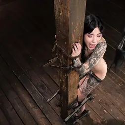 Charlotte Sartre in 'Kink' Charlotte Sartre: Extreme Bondage (Thumbnail 16)