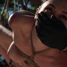 Charlotte Sins に 'Kink' 太陽に縛られて (サムネイル 17)