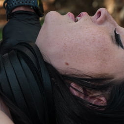 Charlotte Sins に 'Kink' 太陽に縛られて (サムネイル 21)
