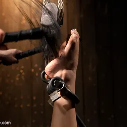 Chastity Lynn en - Cum Begging Cunt - Live Show Part 1 (foto 3) Chastity Lynn en 'Kink' - Cum Begging Cunt - Live Show Part 1 (Miniatura 3)