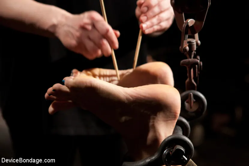 Chastity Lynn に '- Cum Begging Cunt - Live Show Part 1' from 'Kink' (写真 6) Kink '- Cum Begging Cunt - Live Show Part 1' 主演 Chastity Lynn (写真 6)