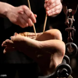 Chastity Lynn en - Cum Begging Cunt - Live Show Part 1 (foto 6) Chastity Lynn en 'Kink' - Cum Begging Cunt - Live Show Part 1 (Miniatura 6)