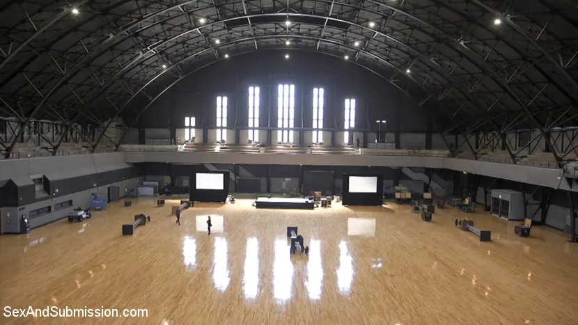 Kink '肛門の復讐' 主演 Cherie Deville (写真 4)