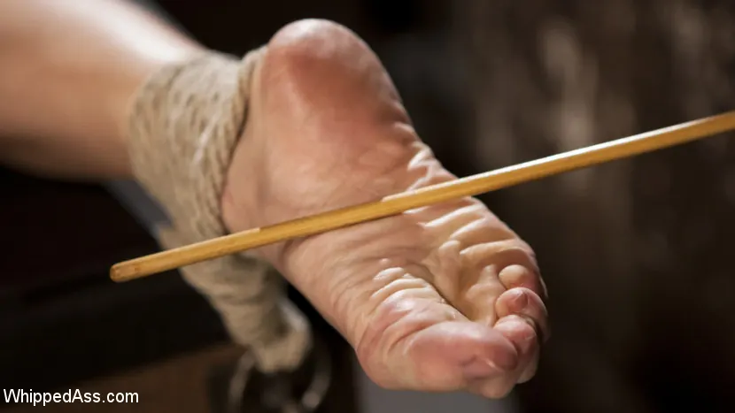 Kink 'Barbie malcriada y perra: ¡Puta porno atormentada y dominada analmente!' protagonizando Cherry Torn (foto 14)