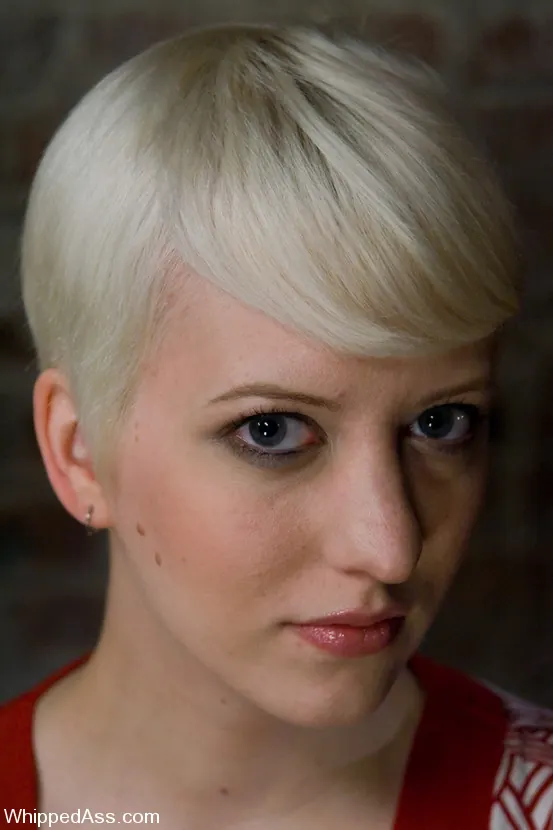 Kink 'Companion Bitches' starring Cherry Torn (Photo 1)