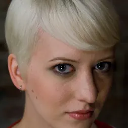 Cherry Torn in 'Kink' Companion Bitches (Thumbnail 1)