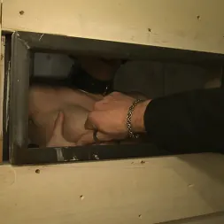 Cherry Torn en 'Kink' Entretener a un Maestro (Miniatura 17)