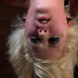 Cherry Torn en 'Kink' Una rubia caliente sufre una brutal suspensión invertida de categoría 5. ¿Cuántos orgasmos puede soportar? (Miniatura 16)