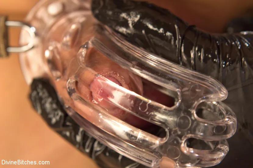 Kink '¡Si no quitas las manos de tu polla lo haré por ti!' protagonizando Cherry Torn (foto 10)