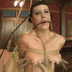 Cherry Torn en 'Kink' Solicitud de miembro: Slapping Torn (Miniatura 3)