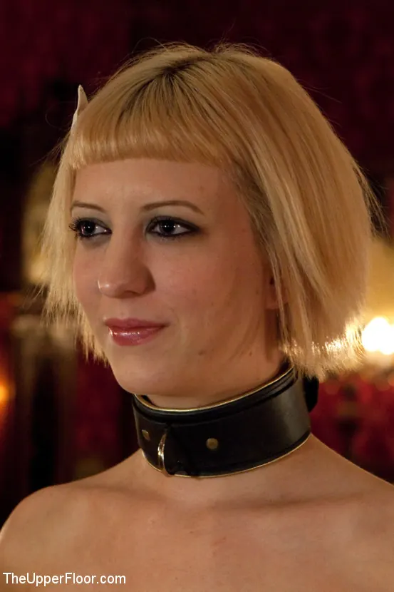 Kink 'Los esclavos del piso superior sirven el almuerzo.' protagonizando Cherry Torn (foto 11)