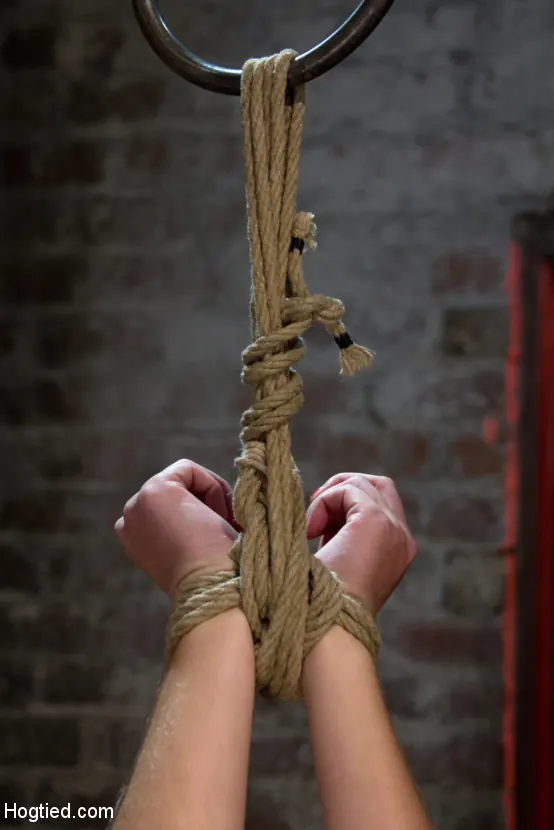 Chloe Camilla in 'Cute blonde suffers the hardest hour on the internet The Hogtied Live Show Strict strappado' from 'Kink' (Photo 10) Kink 'Cute blonde suffers the hardest hour on the internet The Hogtied Live Show Strict strappado' starring Chloe Camilla (Photo 10)