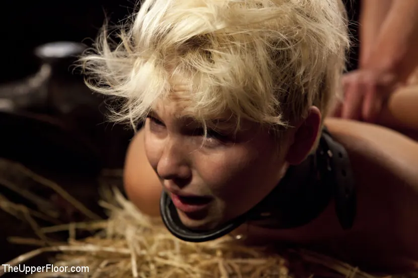 Kink 'Firma de libros en el Marketplace' protagonizando Chloe Camilla (foto 5)