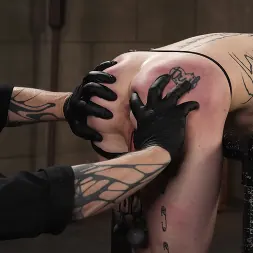 Chuck Faerie に 'Kink' ドキドキと音が鳴り響いた (サムネイル 8)