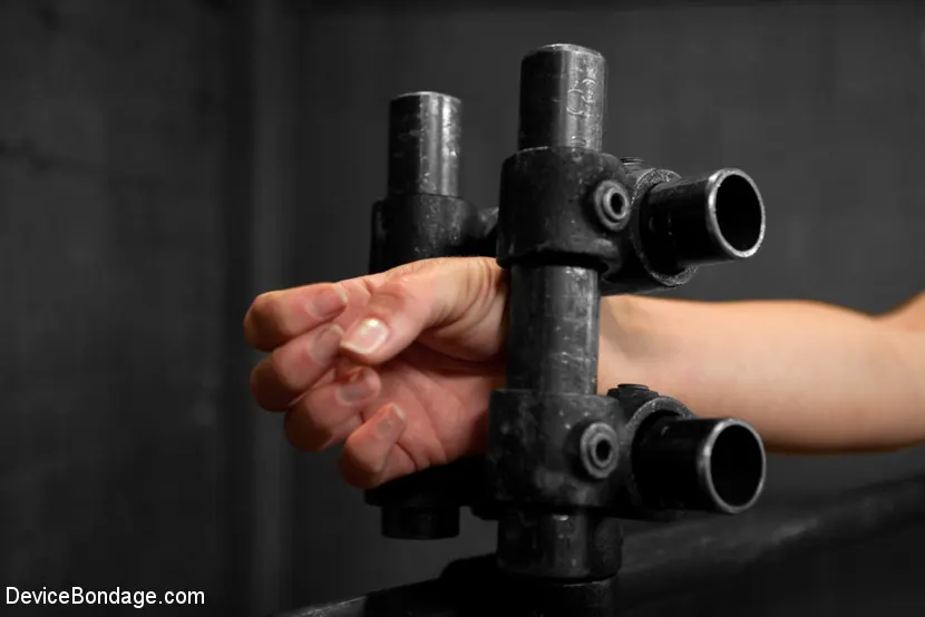 Claire Adams に 'アニカアルブライト' from 'Kink' (写真 4) Kink 'アニカアルブライト' 主演 Claire Adams (写真 4)