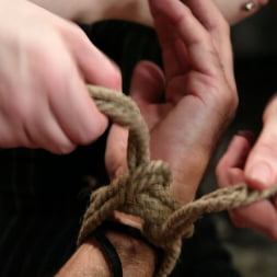 Claire Adams に 'Kink' and totaleurosex (サムネイル 3)