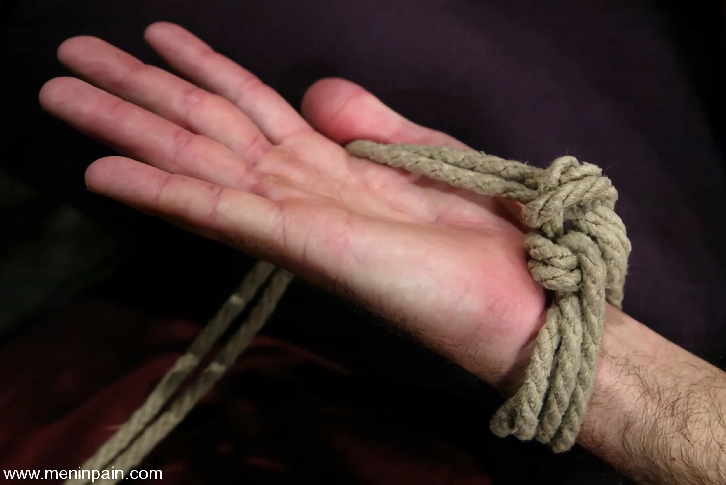 Kink 'and totaleurosex' starring Claire Adams (Photo 4)