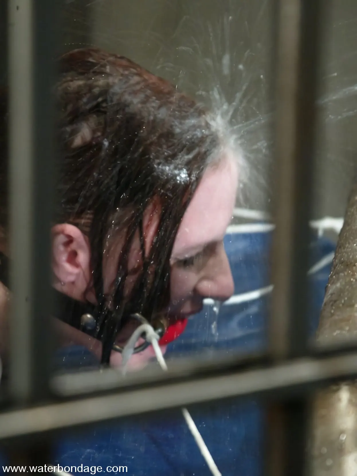 Kink 'クレア・アダムス' 主演 クレア・アダムス (写真 4)