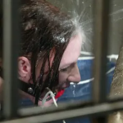 クレア・アダムス に クレア・アダムス (写真 4) クレア・アダムス に 'Kink' クレア・アダムス (サムネイル 4)