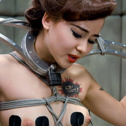 Claire Adams に 'Kink' 新人のサラ・ウルフ (サムネイル 12)